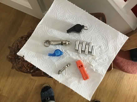 Photo of free Whistles, tuner (Southborough TN4) #1
