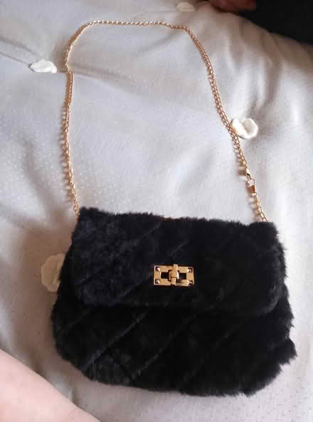 Photo of free Fluffy hand bag (South ockendon) #1