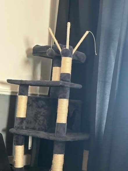Photo of free Large cat tree (Norbury CR7) #1
