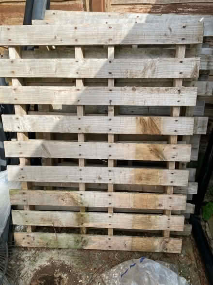 Photo of free 5 wooden pallets (Southborough TN4) #1