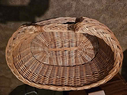 Photo of free 2 wicker cat baskets (Clarendon Park LE2) #1
