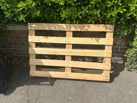 Photo of free Wood pallets (Fiveways BN1) #1