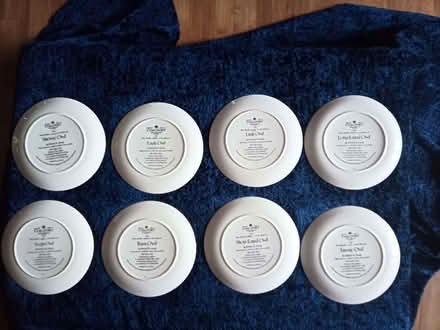 Photo of free Collectors Owl Plates (Cromford DE4) #2