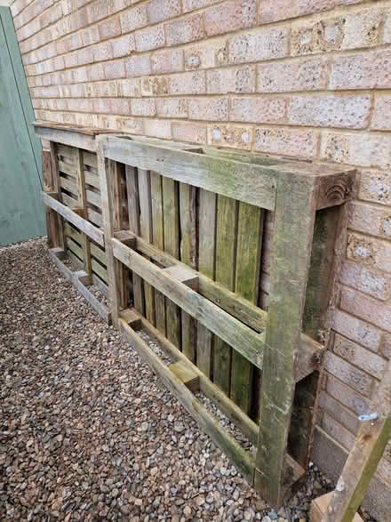 Photo of free 2 old wooden pallets (Fromefield BA11) #1