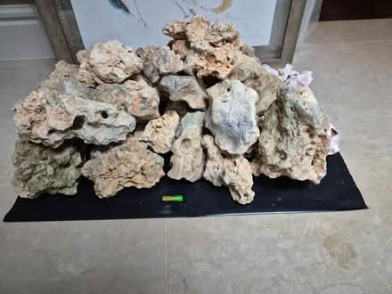Photo of free Large rocks from an aquarium (Chiswick W4) #1