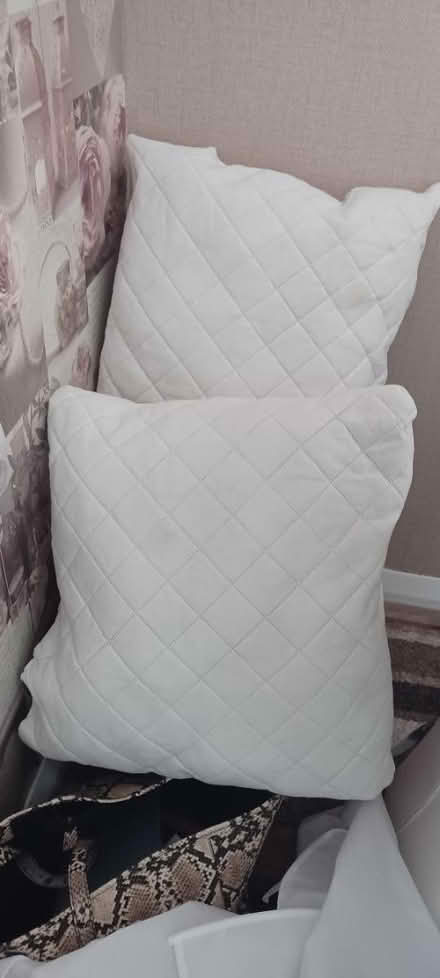Photo of free Cushion shams (Billericay CM11) #1