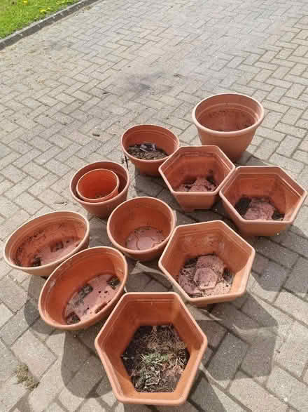 Photo of free Plant pots and hanging basket (Sunniside NE16) #2