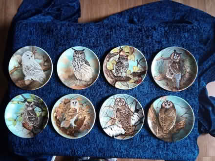 Photo of free Collectors Owl Plates (Cromford DE4) #1