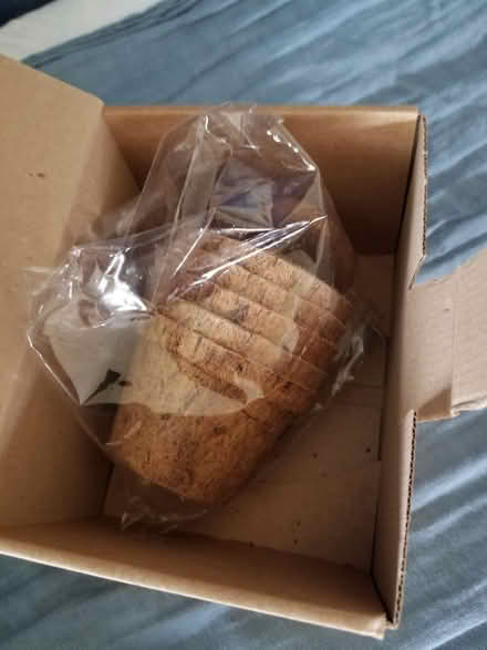 Photo of free 5 coconut fibre plant pots (Gloucester) #3