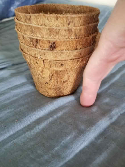 Photo of free 5 coconut fibre plant pots (Gloucester) #4