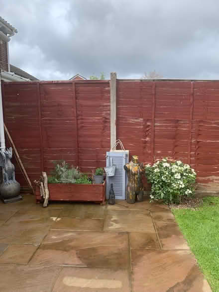 Photo of free Garden Fence Panels (Emsworth PO10) #2