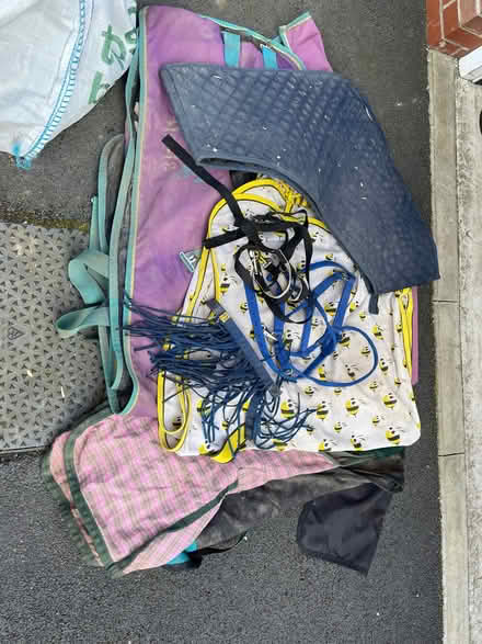 Photo of free Horse Rugs 6’6 and other items (Chellaston DE73) #1