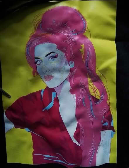 Photo of free Amy Winehouse hood, size SMALL (Granton EH5) #2