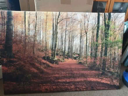 Photo of free Countryside Prints (Cranfield MK43) #3