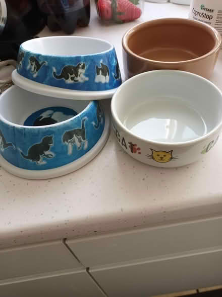 Photo of free 4 cat or pet bowls (Melksham) #2