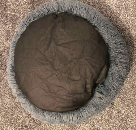 Photo of free Pet bed (Cambridge CB1) #2