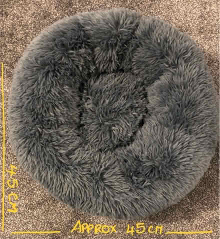 Photo of free Pet bed (Cambridge CB1) #1