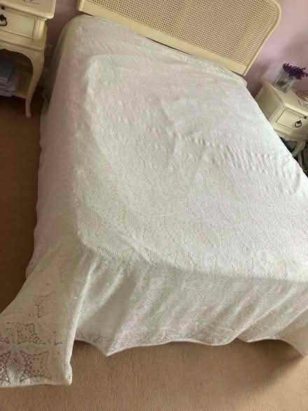 Photo of free Cream lace bedspread (Goffs Oak EN7) #1