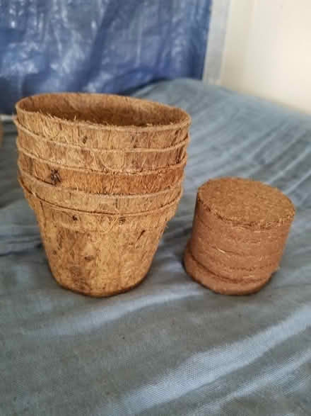 Photo of free 5 coconut fibre plant pots (Gloucester) #1
