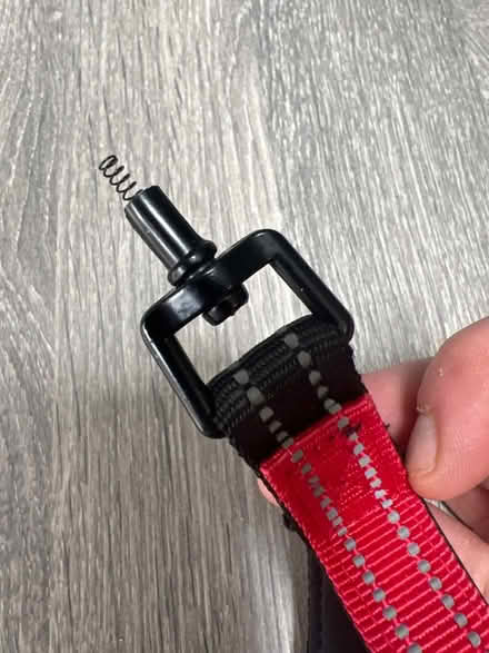 Photo of free Double Dog Lead splitter. Nearly new. Part broken (Southsea PO4) #2