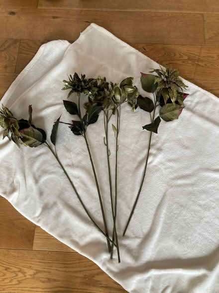 Photo of free Artificial Flowers (Hadleigh SS7) #2