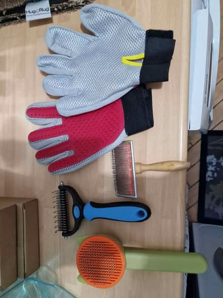Photo of free Pet grooming (Malvern Link WR14) #1
