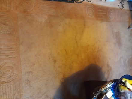 Photo of free Wool rug 157 x 245cm (Westbury SY5) #2
