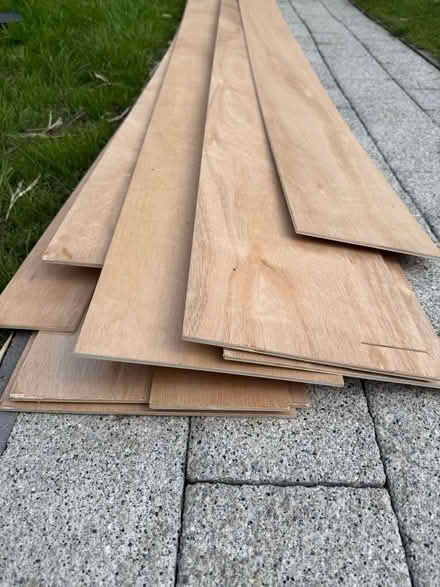 Photo of free Long off-cuts of 5mm plywood (Welling DA16) #3