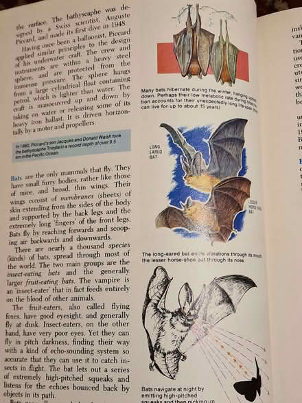 Photo of free Kids Encyclopedia (Lower Place OL16) #2