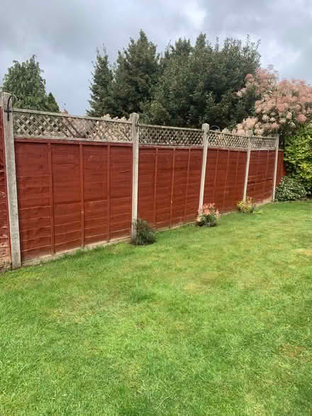 Photo of free Garden Fence Panels (Emsworth PO10) #1