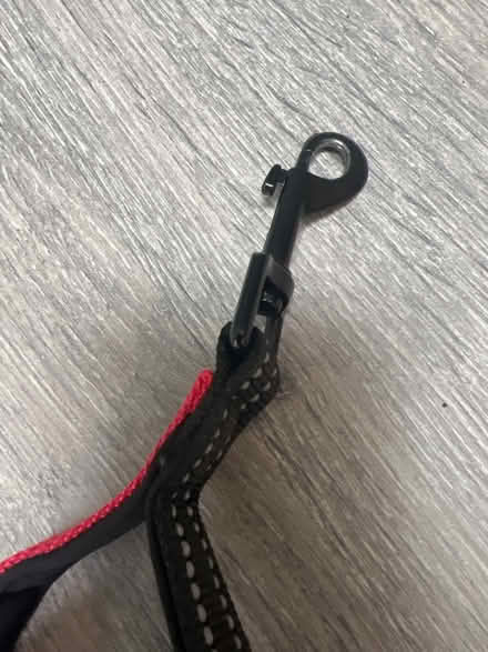 Photo of free Double Dog Lead splitter. Nearly new. Part broken (Southsea PO4) #3