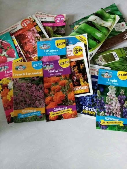 Photo of free Seeds (Southport PR8) #1