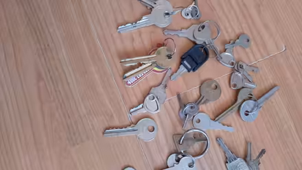 Photo of free Many odd keys (Whiston L35) #1