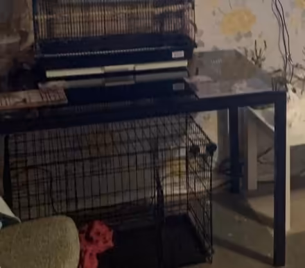 Photo of free Dining table (ME16) #1