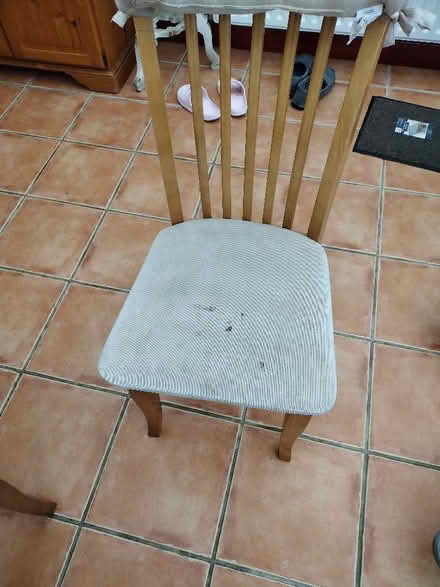 Photo of free 4 Dining chairs (Alfreton DE55) #3