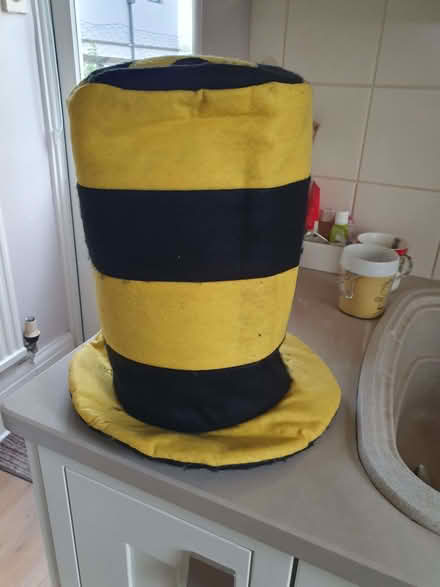 Photo of free Fancy dress/Dressing up hat (Cheltenham GL53) #1