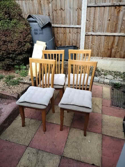 Photo of free 4 Dining chairs (Alfreton DE55) #4