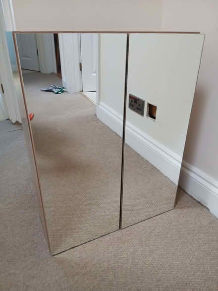 Photo of free Bathroom cabinet (Bear Flat) #1