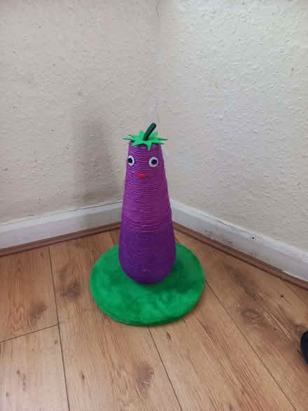 Photo of free Cat scratch toy (Yardley B10) #1