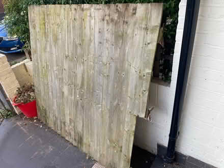 Photo of free 1x featherboard fence panel & post (Tooting, SW17 9) #1