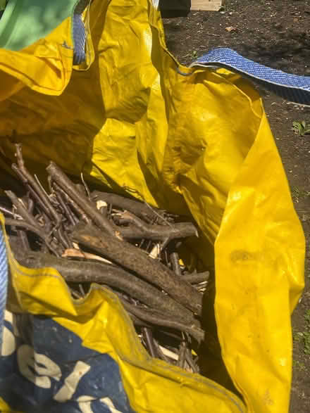 Photo of free Fire wood (West Hampstead NW6) #1