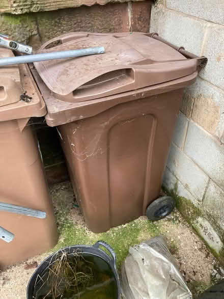 Photo of free Brown bin (Greasby CH49) #1