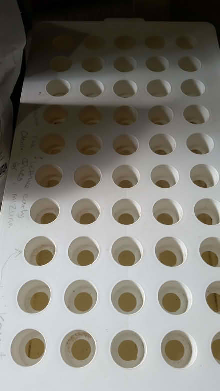 Photo of free Hydroponic growing kit (Belper DE56) #3