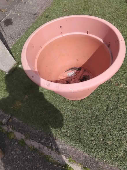 Photo of free Large plastic plamter (Middleton M24 6JW) #2