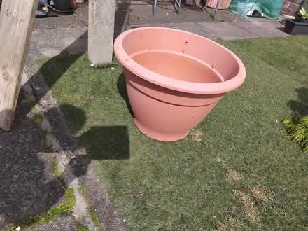 Photo of free Large plastic plamter (Middleton M24 6JW) #1