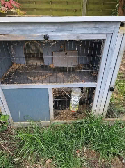 Photo of free 3m+ rabbit hutch and run (Up Hatherley GL51) #1
