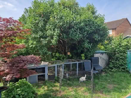 Photo of free Rabbit hutches and runs (Up Hatherley GL51) #1