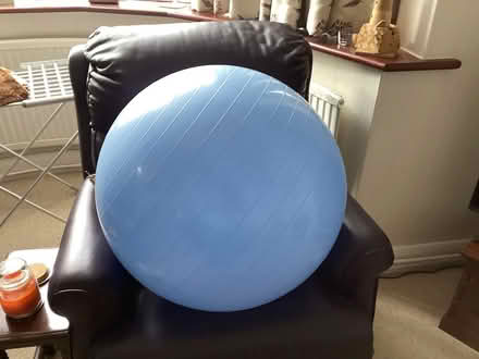 Photo of free Gyn exercise ball (Banstead SM7) #1