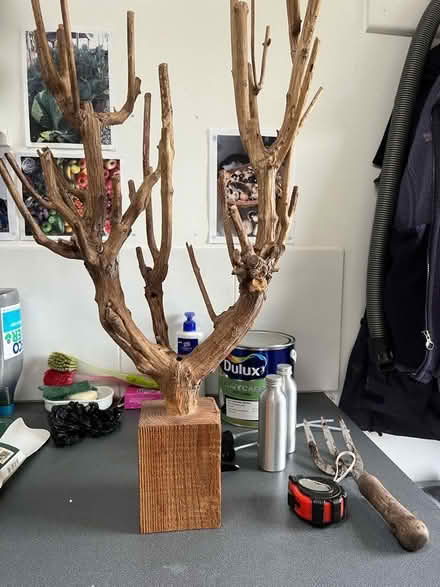 Photo of free Hanging tree-thing (Barnard's Green WR14) #1
