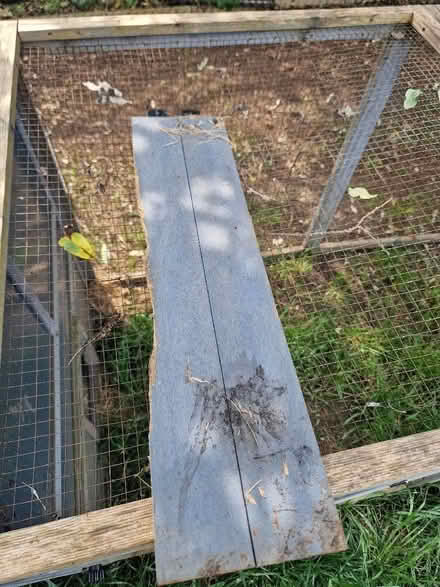 Photo of free 3m+ rabbit hutch and run (Up Hatherley GL51) #4